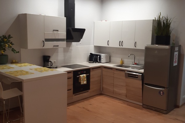 Mini-fridge, microwave, oven, stovetop