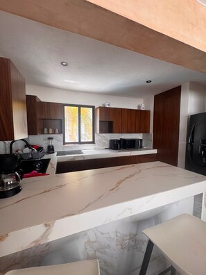 Private kitchen - Luxury beachfront apartment on the Costa Dorada, Chicxulub. (Chicxulub)