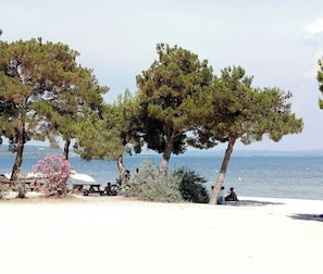 Playa