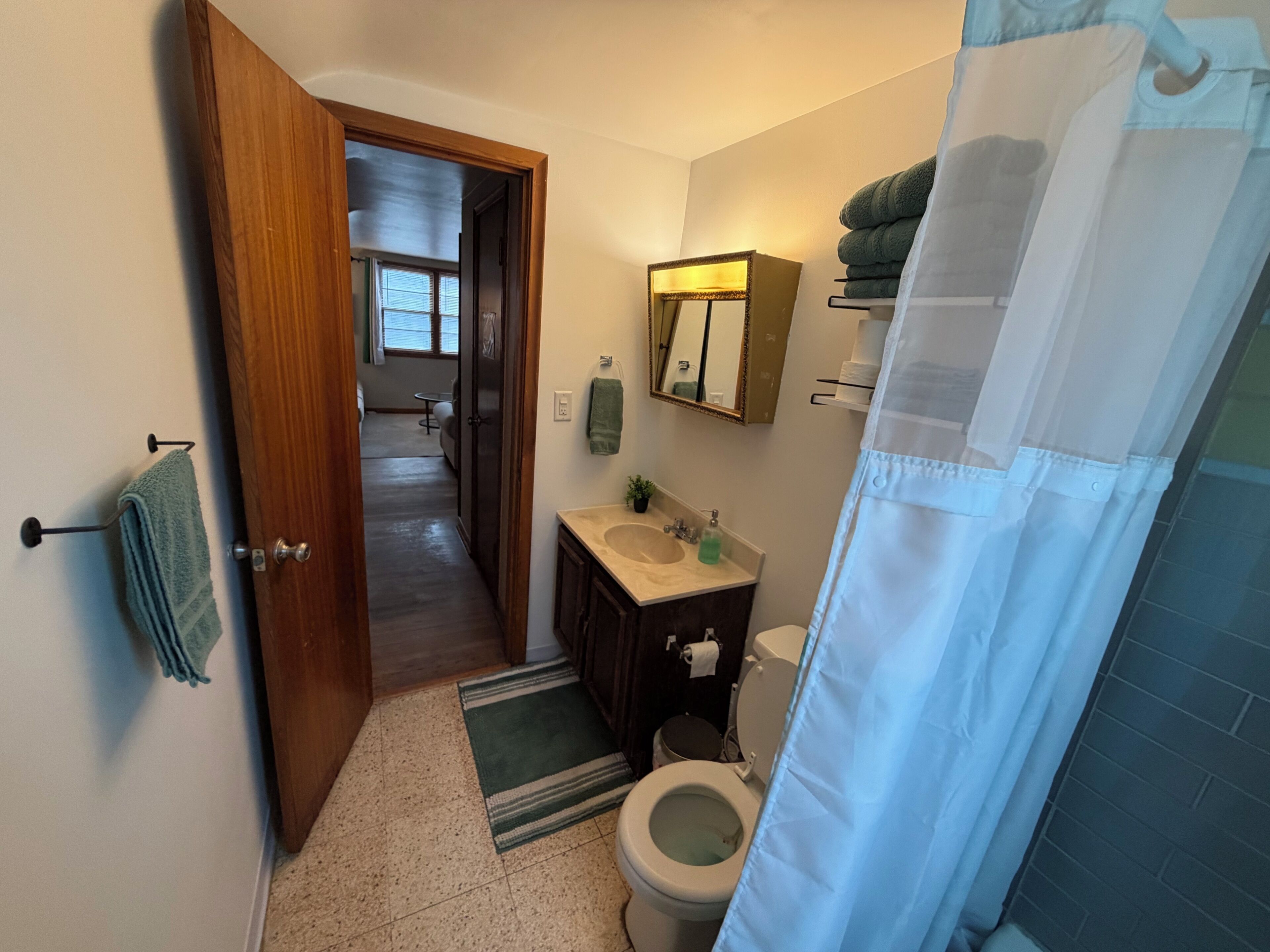 Une salle de bain avec des toilettes, un lavabo et un miroir. On y trouve un porte-serviettes avec une serviette et un rideau de douche.