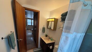 Une salle de bain avec des toilettes, un lavabo et un miroir. On y trouve un porte-serviettes avec une serviette et un rideau de douche.