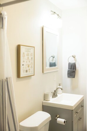 Shower, hair dryer, towels, soap - Cozy and Modern 1-bedroom with kitchenette studio in lovely Calhoun GA (Calhoun)