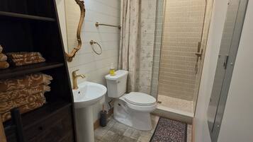 Shower, towels, toilet paper
