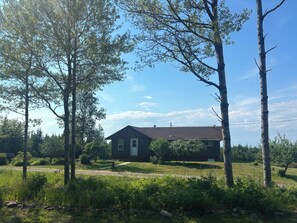 A single-story house with a dark roof and white trim, surrounded by a grassy yard and tall trees.