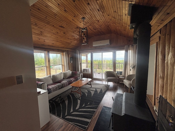 Smart TV, fireplace, books