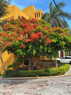 A building with a sign reading 'SOTAVENTO ISLA' and a white car parked in front. - Oceanview 3-Level Penthouse with Rooftop Terrace and Pool (Isla Mujeres)
