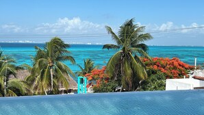 Ein klares, blaues Schwimmbecken mit Blick auf den Ozean und Palmen.