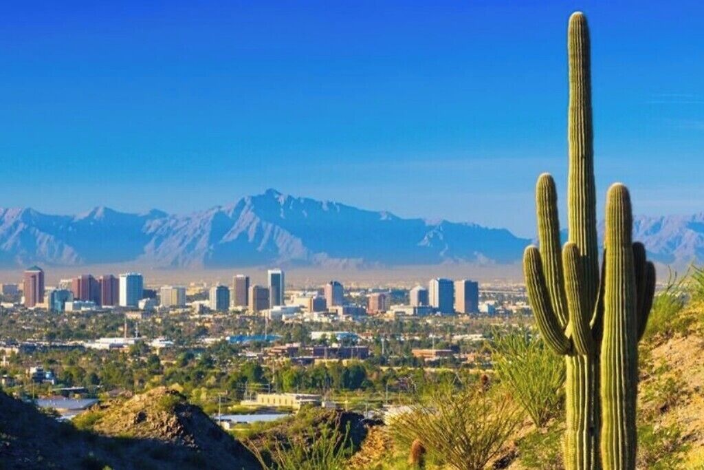 Une vue urbaine avec un grand cactus au premier plan, un ciel bleu dégagé et des montagnes en arrière-plan.