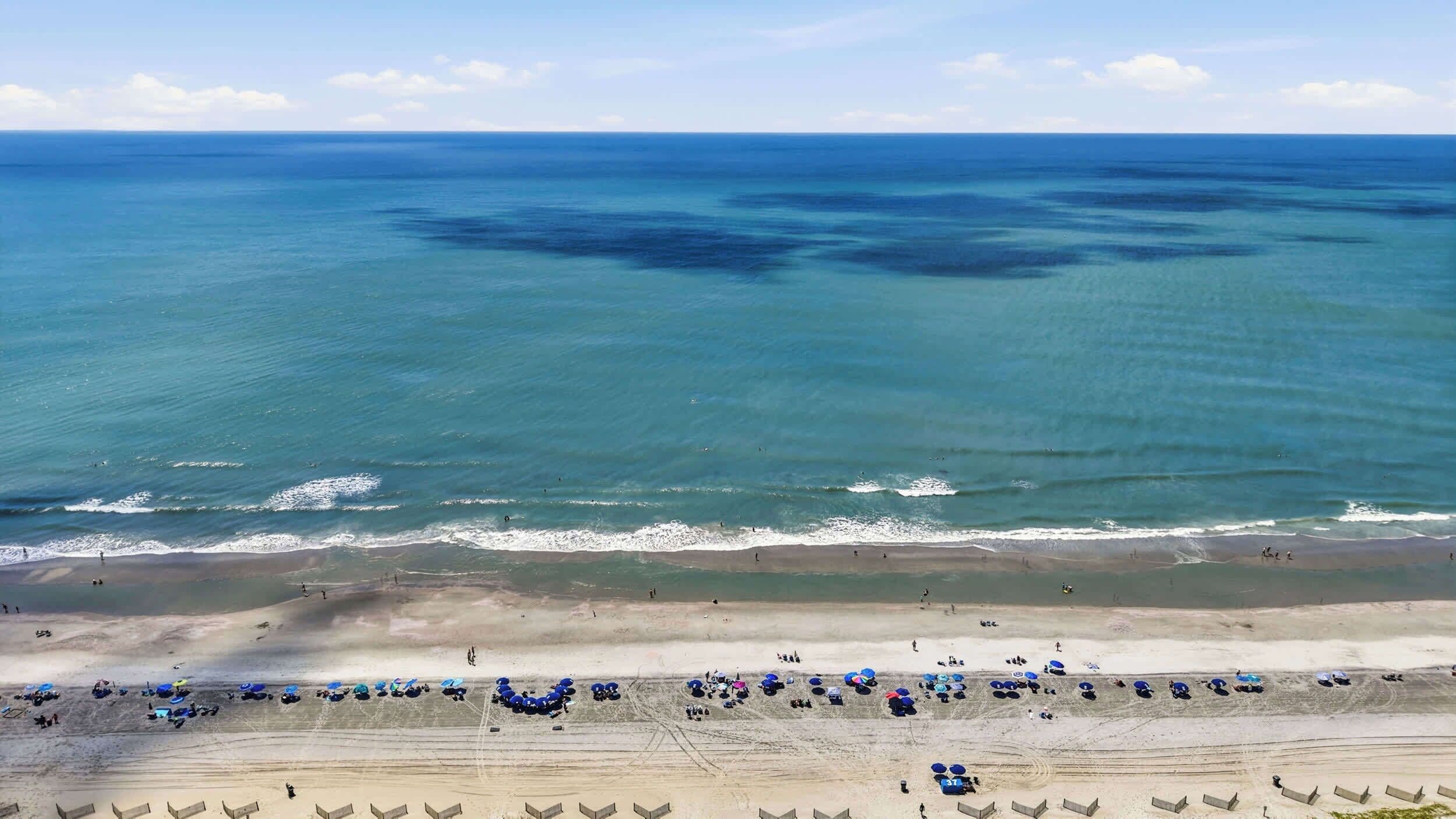 Playa en los alrededores 