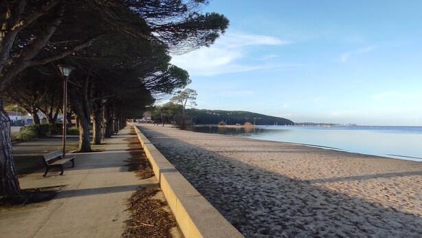 Ein Strand mit einer gepflasterten Promenade, gesäumt von Bäumen und Bänken.