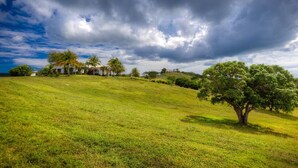 A grassy landscape with a white building and palm trees. - Largest Private Estate on Vieques — 30 Acres, 3 Homes, the Island's Largest Pool (Vieques)