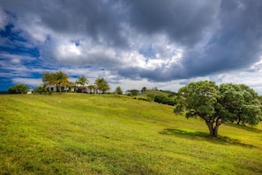 Property grounds - Largest Private Estate on Vieques — 30 Acres, 3 Homes, the Island's Largest Pool (Vieques)