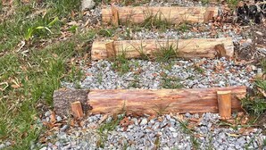 A wooden log pathway with gravel and grass. - FEYRE · Meraki Cabañas & Glamping by GEstores (Mineral del Chico)
