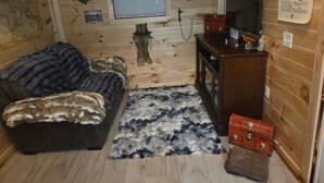 Interior de cabana de madeira com sofá, tapete, televisão e armário.