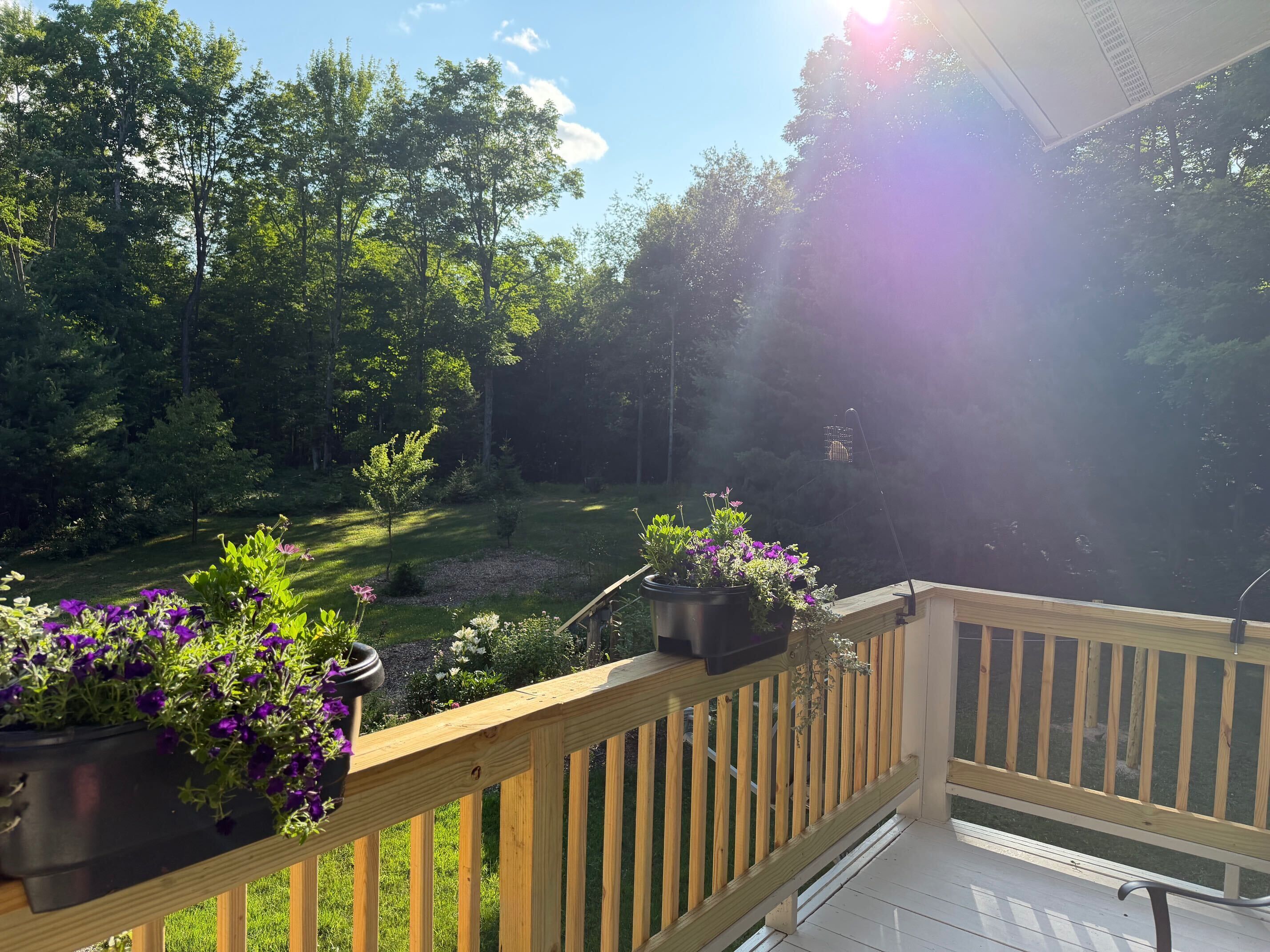 A wooden deck with potted plants and a view of a grassy yard and trees.