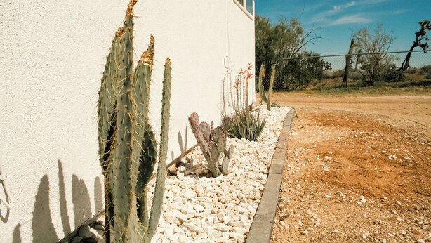 A building with a white exterior, a cactus garden, and a clear blue sky. - A cozy 532 sq ft retreat in Yucca Valley, just minutes away from Joshua Tree NP (Yucca Valley)