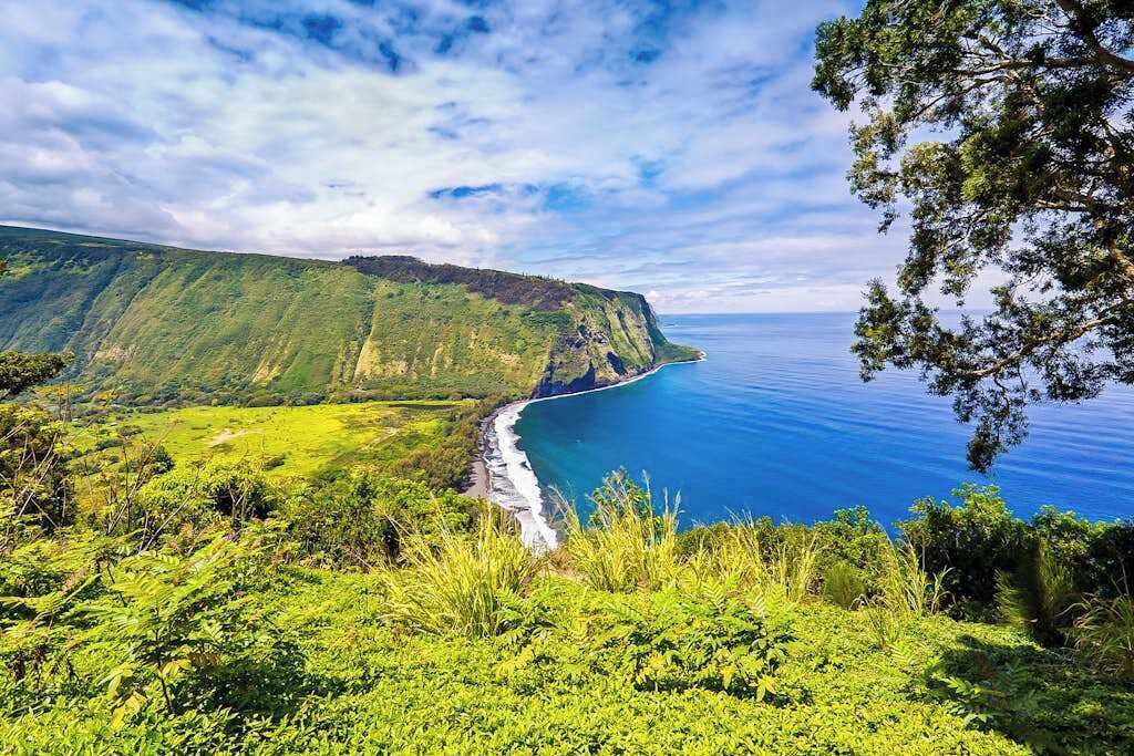A coastal landscape with a cliff, beach, and lush greenery.