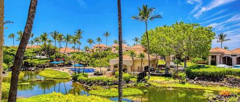 A resort with a swimming pool, palm trees, and a pond.