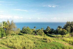A coastal landscape with a grassy area, trees, and a view of the ocean.
