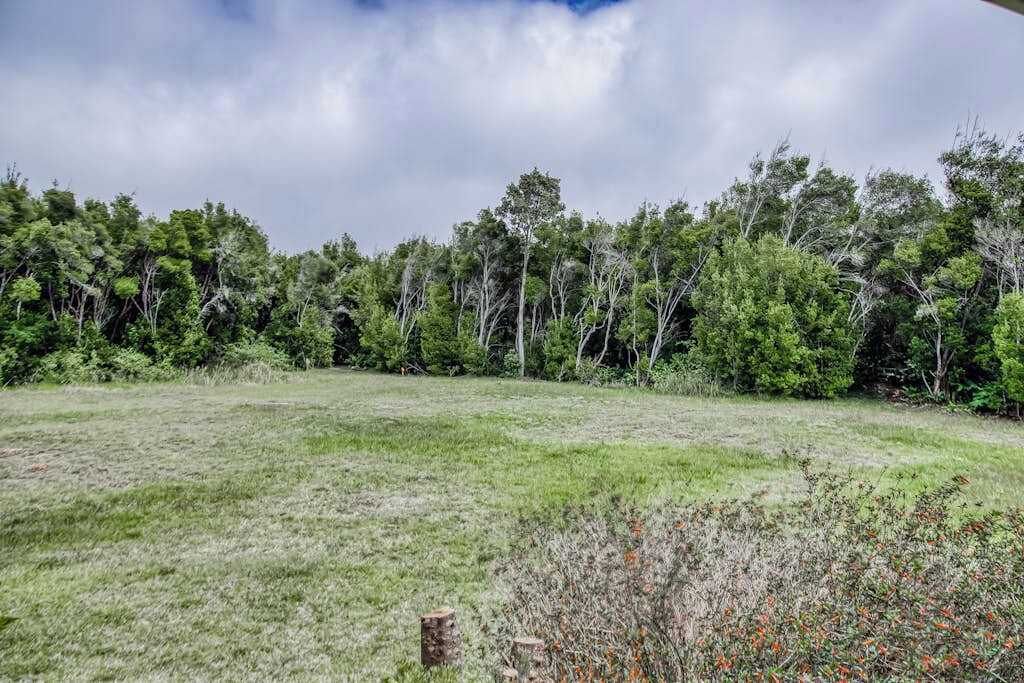 Un campo cubierto de hierba con árboles al fondo.