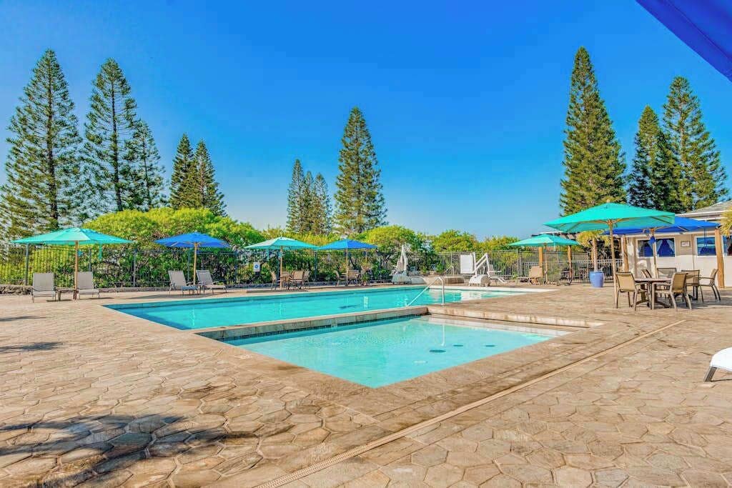 A swimming pool with lounge chairs and umbrellas, surrounded by tall trees.