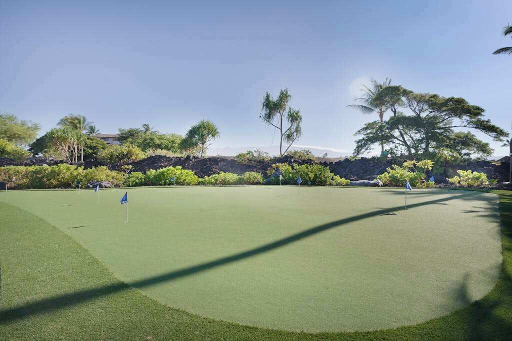 A golf course with a putting green, surrounded by tropical vegetation and a clear sky.
