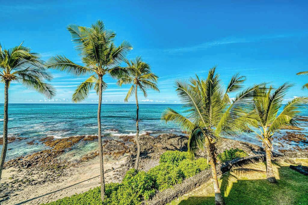 A beach with palm trees and rocky shoreline.