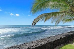 Une vue sur la côte, avec un mur de pierres, des vagues de l’océan et un palmier.