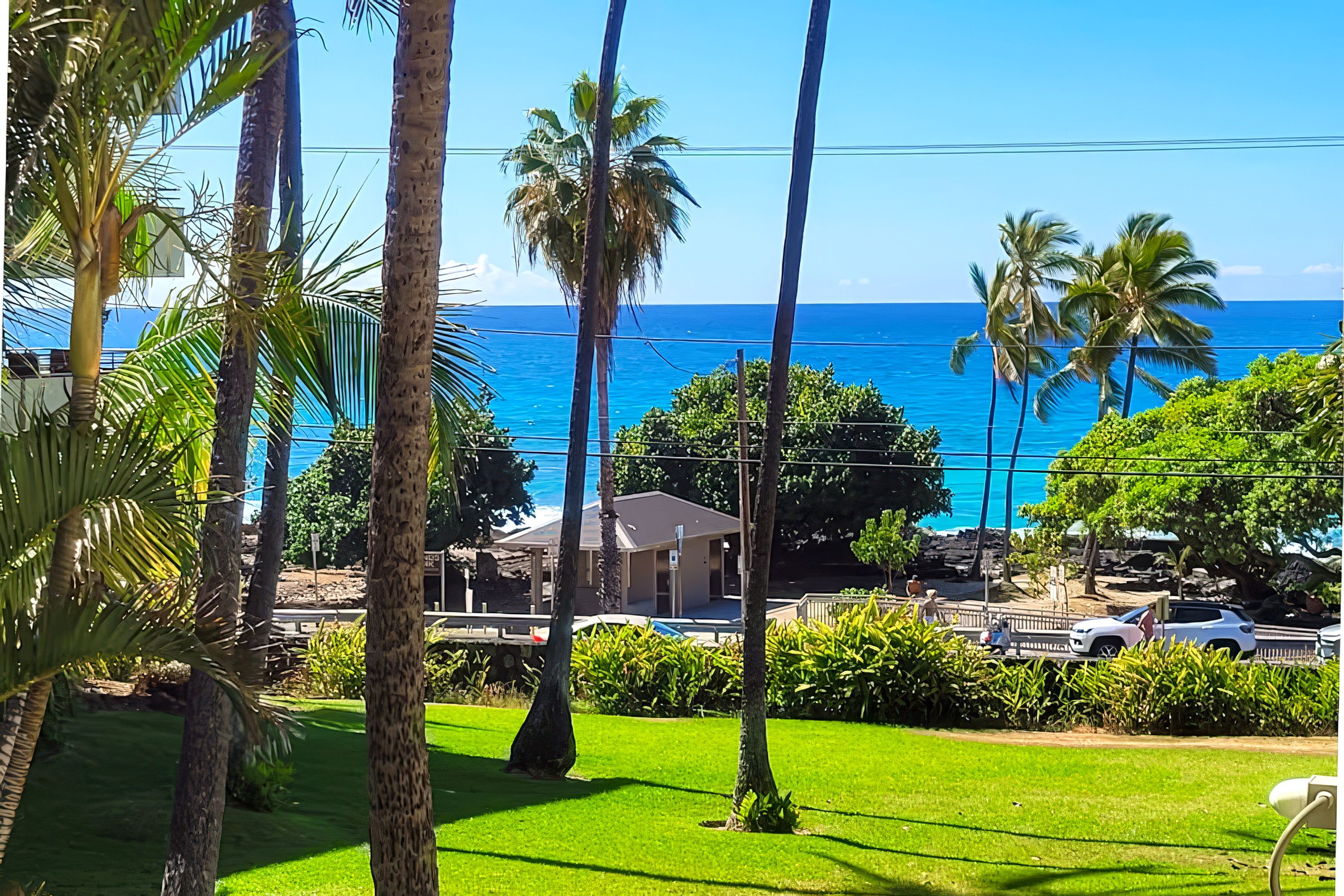 Vista de una zona costera con palmeras, cielo azul despejado y el océano al fondo.