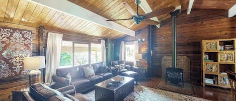 TV, fireplace, offices