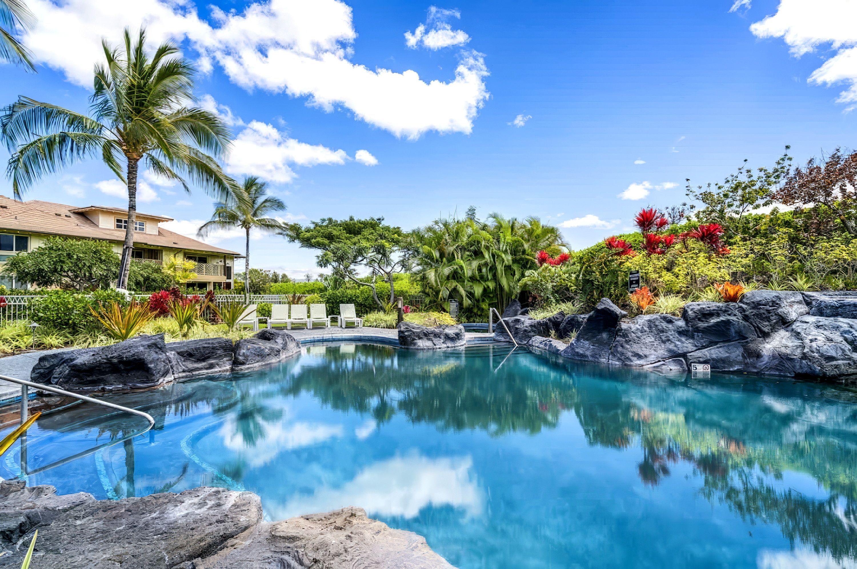 Una piscina cristalina con borde de rocas, rodeada de exuberante follaje y palmeras.
