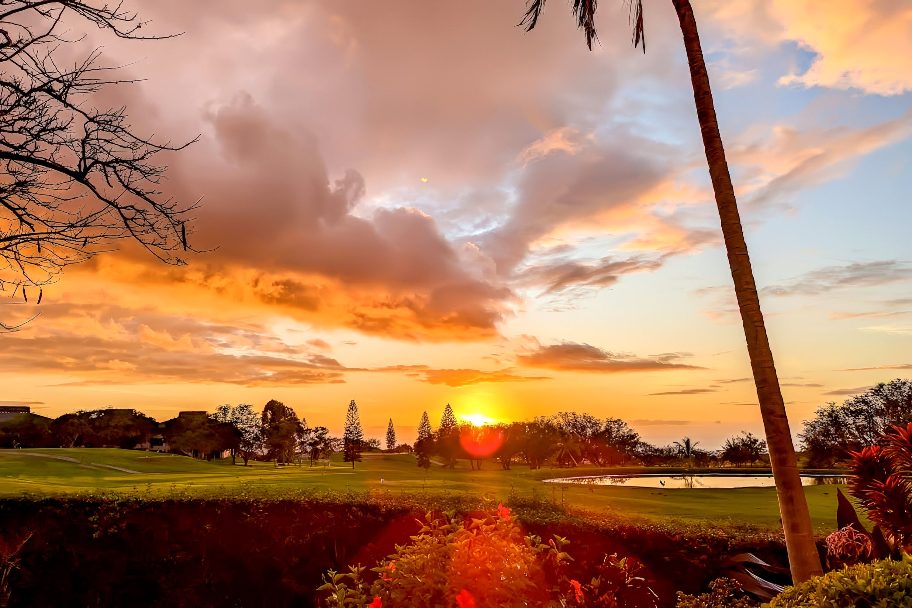 Un campo de golf con un atardecer de fondo, un estanque y diversas especies de árboles.