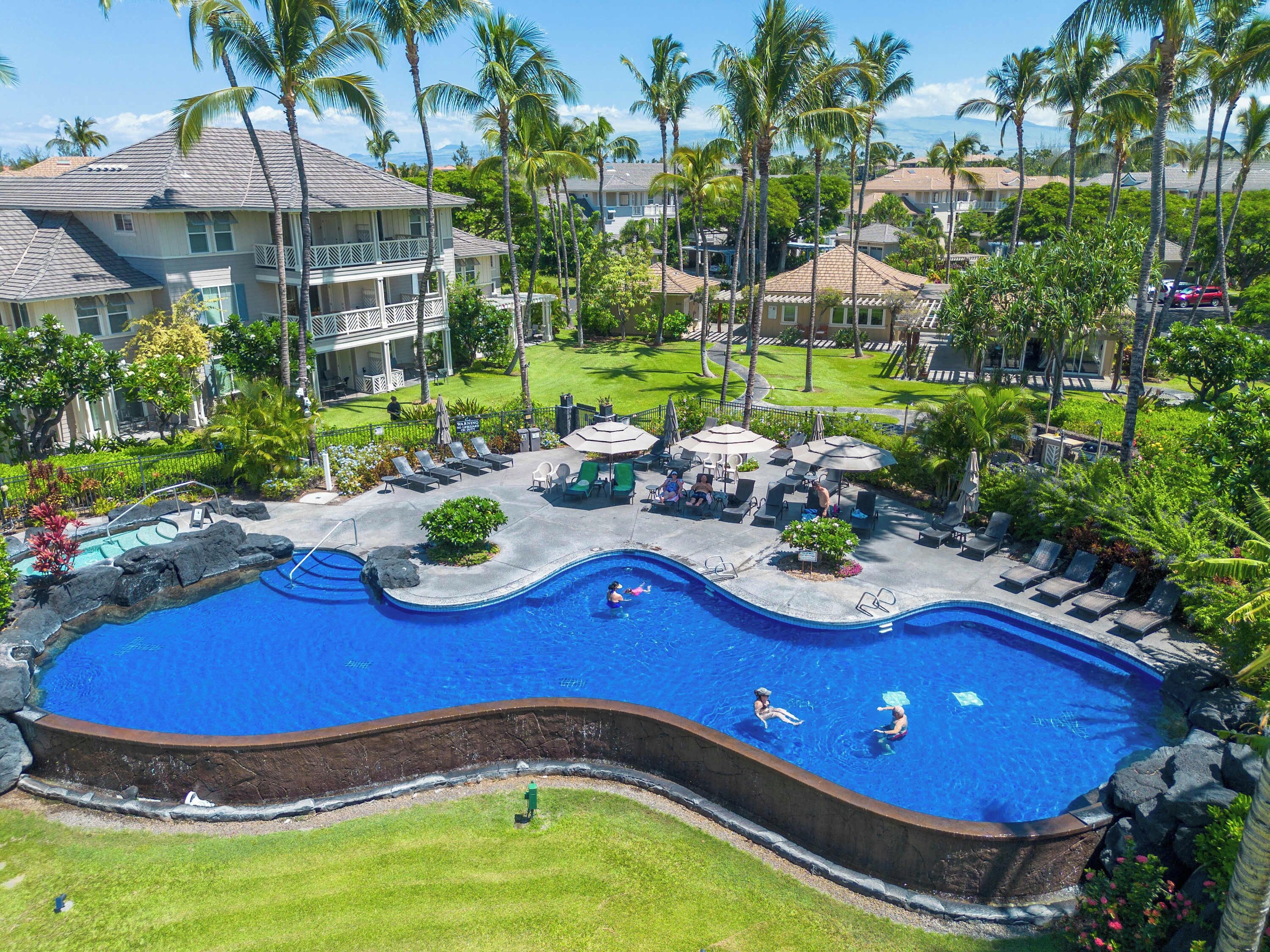 A swimming pool with lounge chairs and umbrellas, surrounded by palm trees and a view of residential buildings.