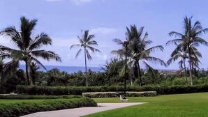 Un sendero atraviesa una zona verde exuberante con palmeras y vistas al océano.