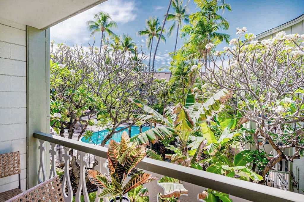 A balcony with a view of tropical vegetation and a pool.