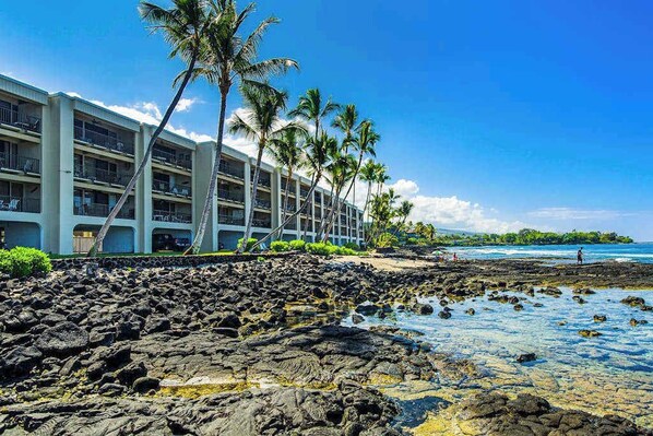 Property grounds - Lovely Oceanfront Kona Condo with View, Full Kitchen & Hot Tub (Kailua-Kona)