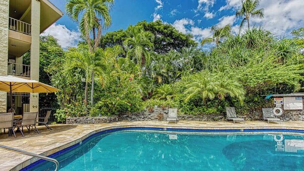Una piscina con solárium de piedra, rodeada de exuberante vegetación y palmeras.