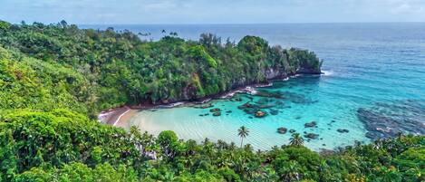 A coastal landscape with a beach, lush greenery, and clear turquoise waters.