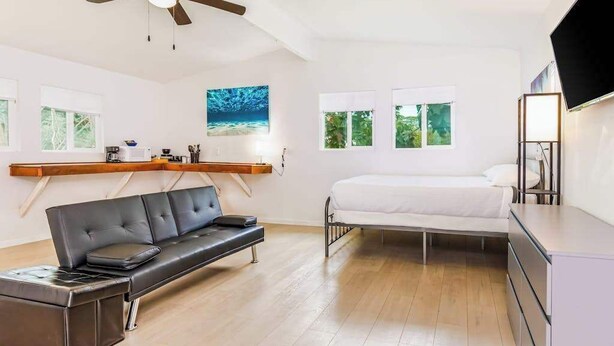 Ein modernes Zimmer mit einem Bett, einem Sofa, einem Schreibtisch, einem Deckenventilator und einem Fernseher.