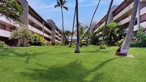 Une cour d’hôtel avec une pelouse bien entretenue, des palmiers et un immeuble à plusieurs étages doté de balcons.