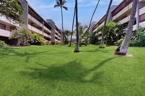 Property grounds - Stay Across From Magic Sands in a Condo with Balcony, Pool & Sauna (Kailua-Kona)