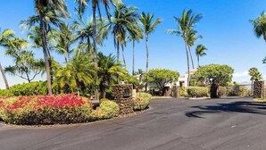 A residential area with a paved driveway, palm trees, and a stone wall with a plaque. - *New* Fall Sale Walk to A-Bay from a Quiet Waikoloa Cul-de-Sac (Waikoloa)