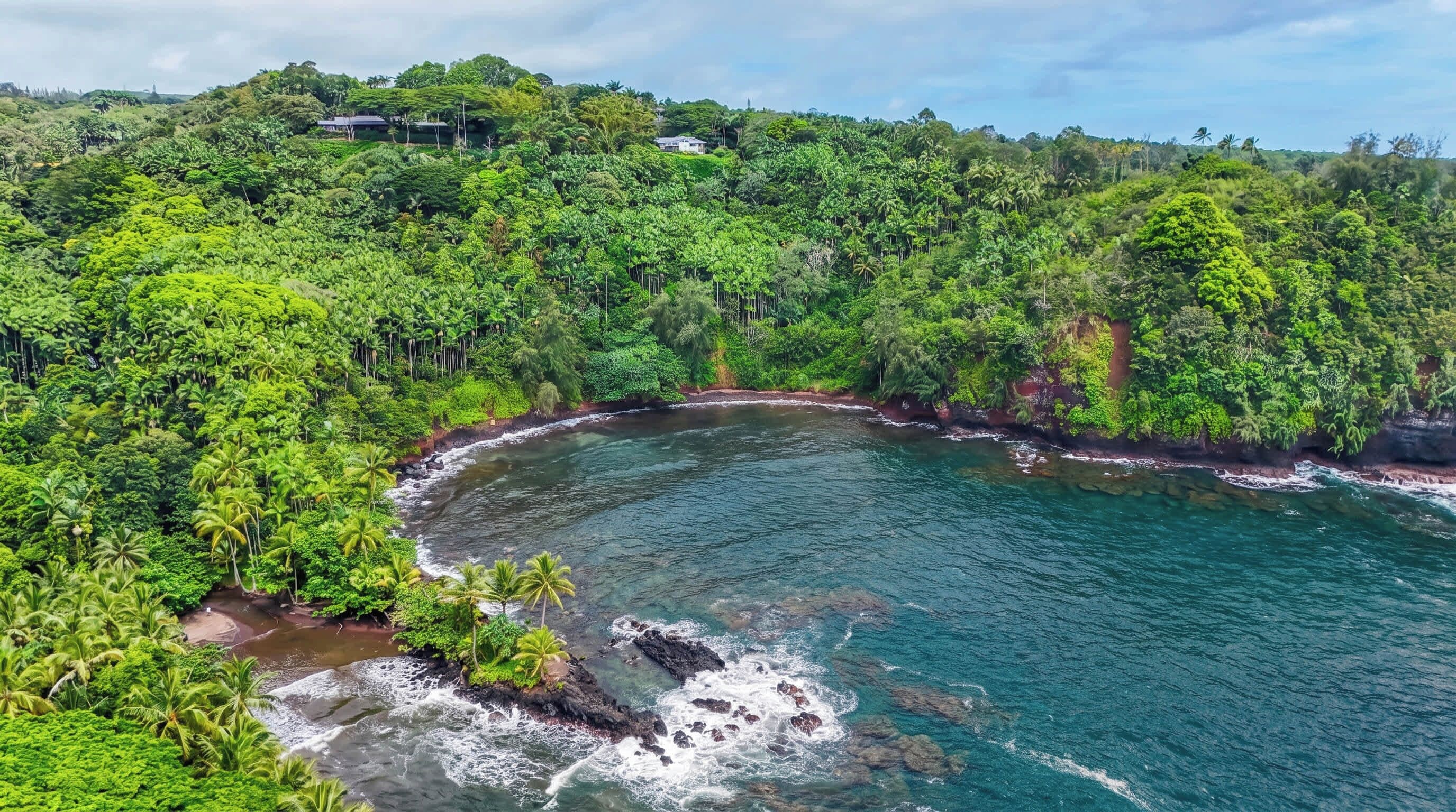 A coastal landscape with dense greenery and a clear view of the ocean.