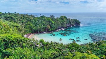 A coastal landscape with a beach, lush greenery, and clear turquoise waters.