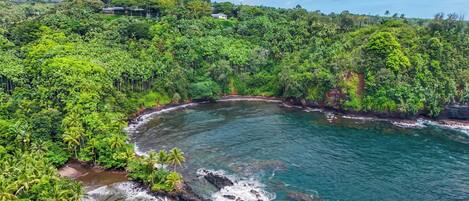 A coastal landscape with dense greenery and a clear view of the ocean.