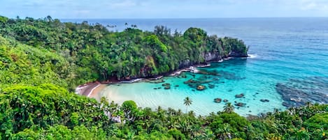 A tropical beach with lush greenery and clear turquoise waters.