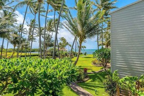 A tropical garden with palm trees, a pathway, and a view of the ocean. - Wavecrest C216 | Oceanfront Kaunakakai Resort Condo w/ Pool, Tennis, Balcony (Kaunakakai)
