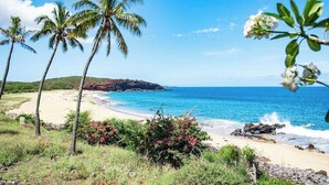 A beach with palm trees, a clear blue sky, and a view of the ocean. - New Fall Sale Ocean View Studio Near Kepuhi Beach and Sunset Pool (Maunaloa)