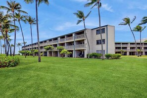 A multi-story hotel with balconies, surrounded by well-maintained lawns and palm trees. - New Fall $pecial First-Floor Molokai Oceanfront Escape with Pool (Kaunakakai)
