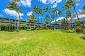 Un hotel con varios pisos, un césped bien cuidado y palmeras.